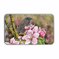 Spring Dunnock decorative keepsake tin with illustrated British wildlife design