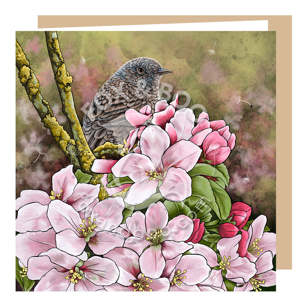 Spring Dunnock and Blossom Greeting Card