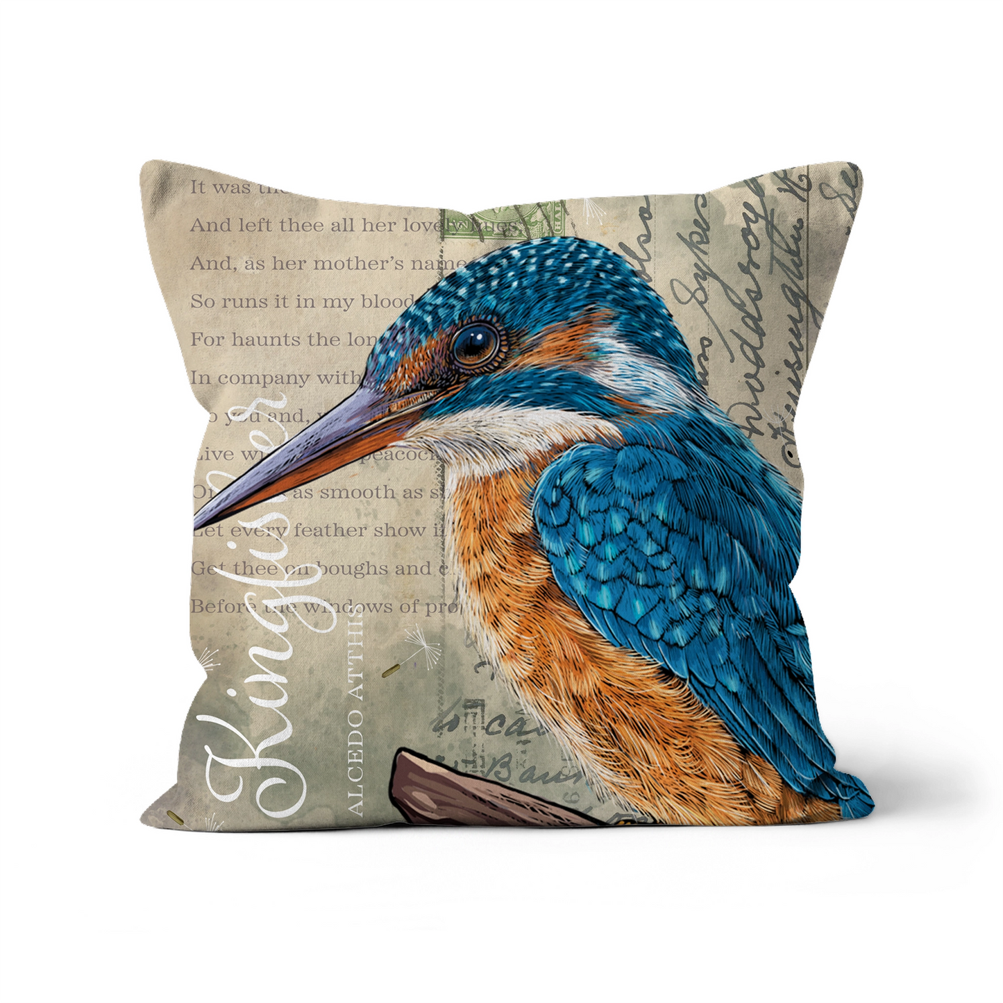 Vintage Style Kingfisher Cushion