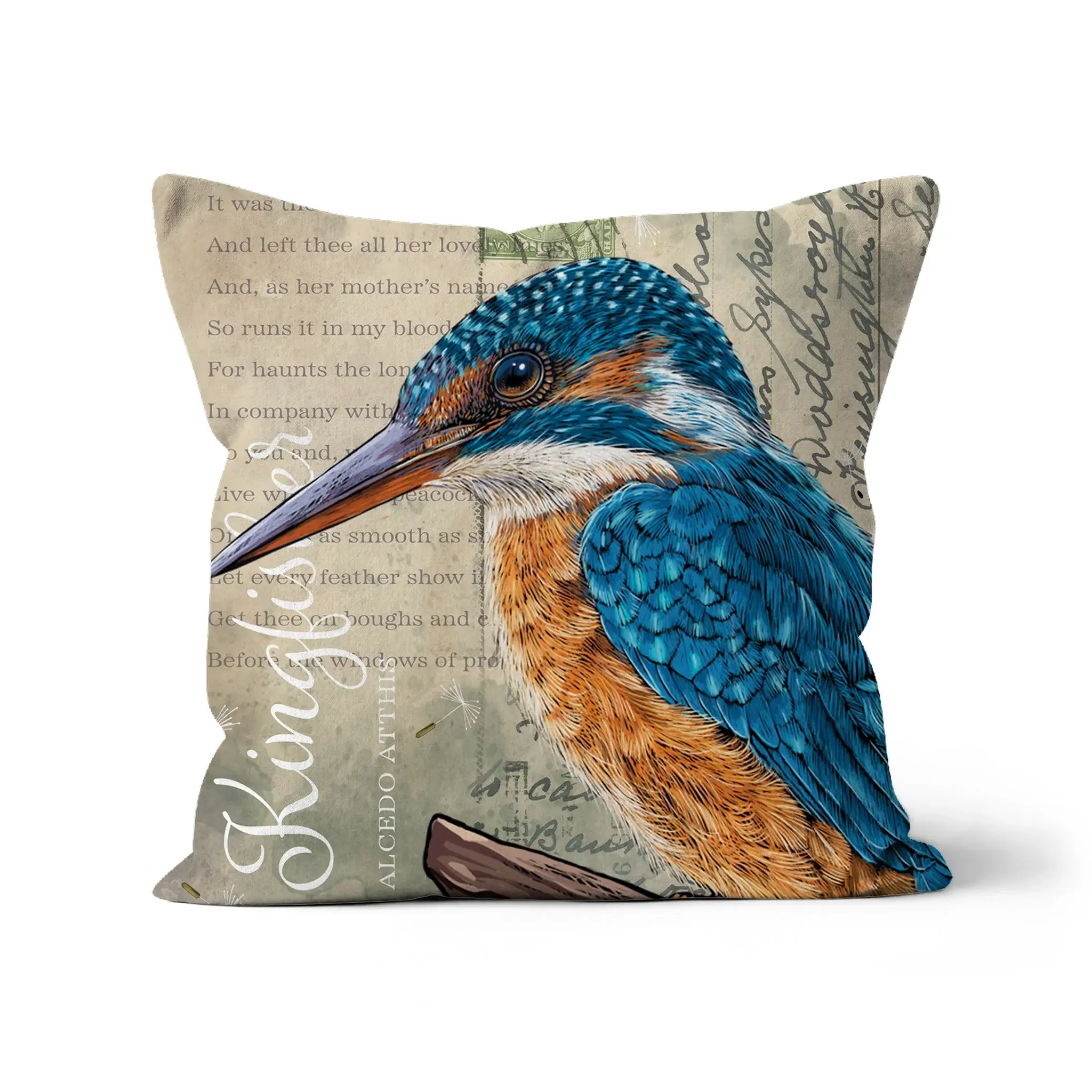 Vintage Style Kingfisher Cushion