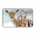 Winter Woodland Deer Decorative Keepsake Tin