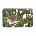 Wren and Snowdrops decorative keepsake tin with illustrated British wildlife design