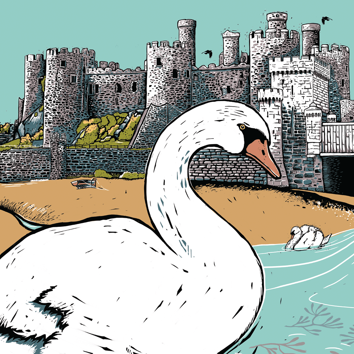 Swan Greeting Card, Conwy, Conwy Castle, North Wales, Fox & Boo