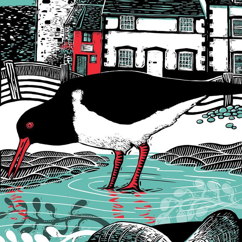Oystercatcher Greeting Card designed by Fox and Boo